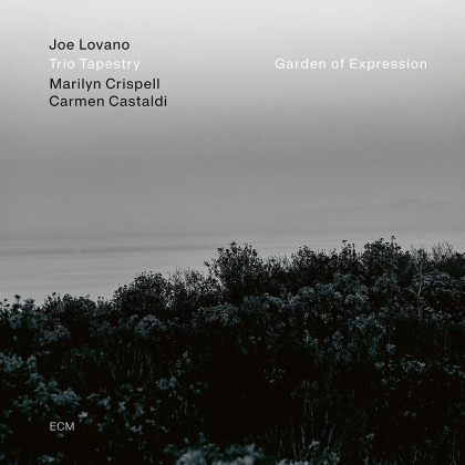 Joe Lovano & Trio Tapestry - Garden Of Expression (LP)