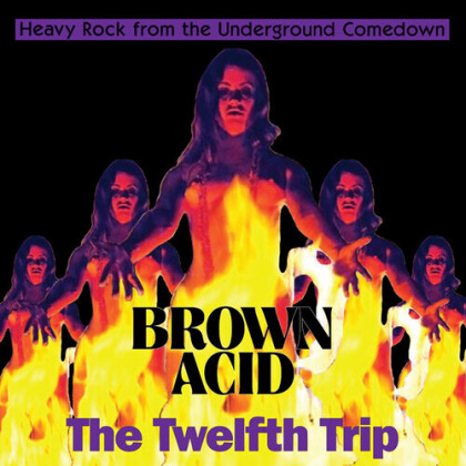 Brown Acid - The Twelfth Trip (LP)