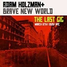Adam Holzman - Last Gig