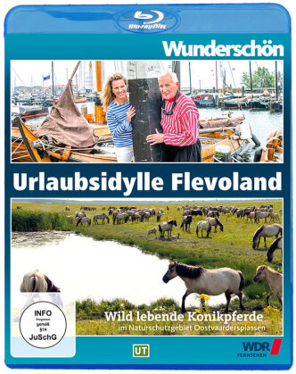 Urlaubsidylle Flevoland - Wild lebende Konikpferde - Wunderschön!