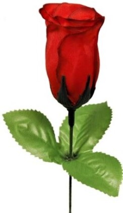 Heckenrose aufgeblüht, rot, 28 cm - Deko-Hit!