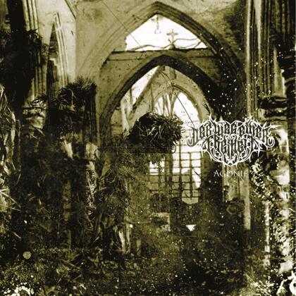 Der Weg Einer Freiheit - Agonie (2021 Reissue, Jewelcase)