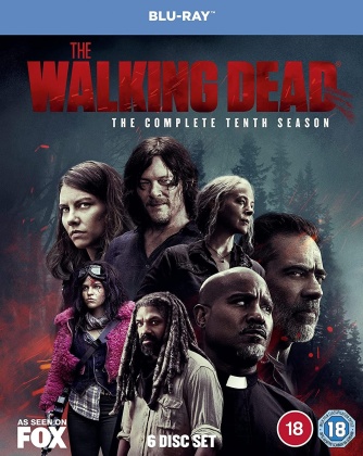 The Walking Dead - Season 10 (6 Blu-ray)