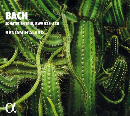 J.S. Bach & Benjamin Alard - Trio Sonatas For Organ BWV 525-530 - Sonates En Trio (2021 Reissue)