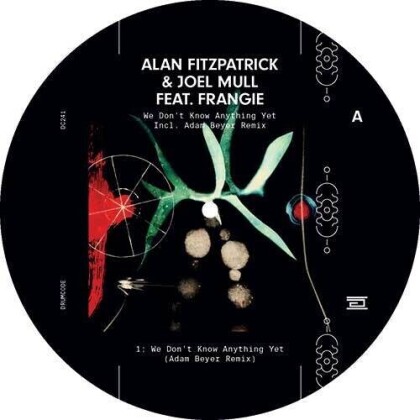 Alan Fitzpatrick, Joel Mull & Frangie - We Don't Know Anything Yet (12" Maxi)