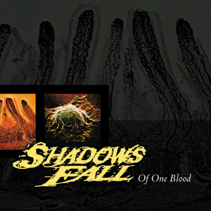 Shadows Fall - Of One Blood (Yellow With Black Marble Vinyl, LP)