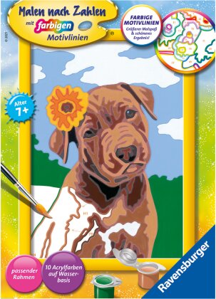 Malset Bester Freund, d - Malen nach Zahlen, 13x18 cm,