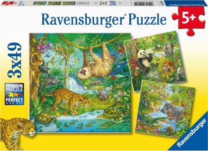 Ravensburger Kinderpuzzle - 05180 Im Urwald - Puzzle für Kinder ab 5 Jahren, mit 3x49 Teilen