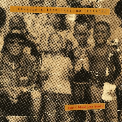 Zenzile & Irie Ites Feat. Trinity - Can't Blame The Youth (LP)