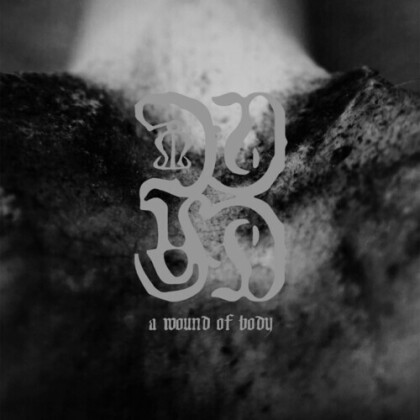 Common King Eider - A Wound Of Body (2021 Reissue, Cargo Label, LP)