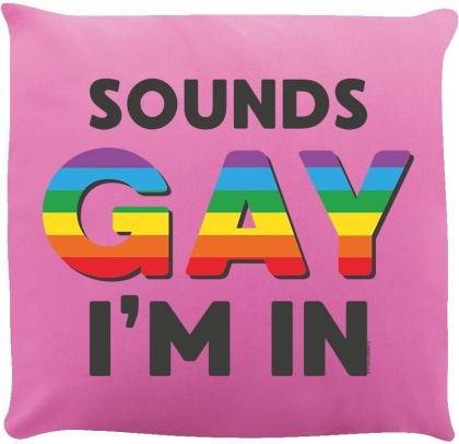 Sounds Gay I'm In - Cushion
