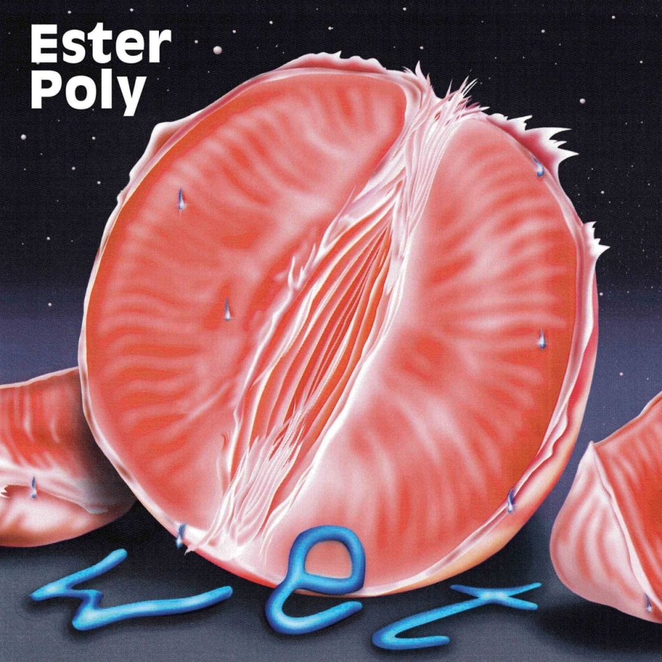 Ester Poly - wet (LP)