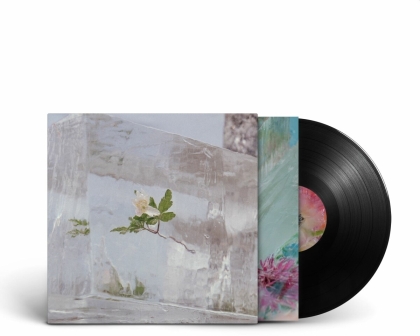 Efterklang - Windflowers (LP)