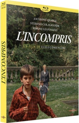 L'incompris (1967)