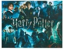 Harry Potter: Poster - 1000 Piece Puzzle