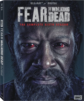Fear The Walking Dead - Season 6 (4 Blu-ray)