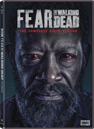 Fear The Walking Dead - Season 6 (4 DVD)