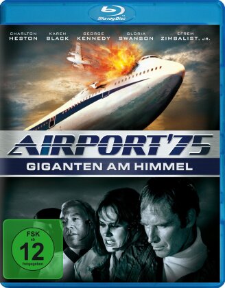 Airport '75 - Giganten am Himmel (1974)