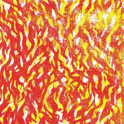 The Bug (Kevin Martin) - Fire