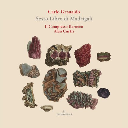 Il Complesso Barocco, Carlo Gesualdo (1566-1613) & Alan Curtis - Sesto Libro De Madrigali
