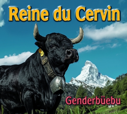 Schwyzerörgeliquartett Genderbüebu - Reine du Cervin