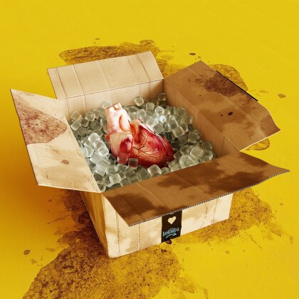 Das Lumpenpack - Emotions (Yellow Vinyl, LP)