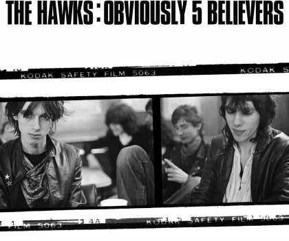 The Hawks - Obviously 5 Believers