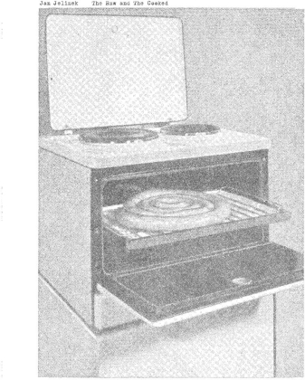 Jan Jelinek - Raw And The Cooked (LP)
