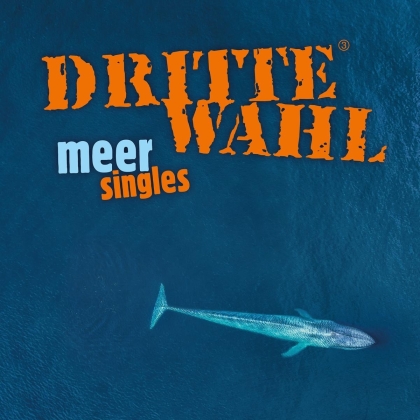 Dritte Wahl - Meer Singles (2 LPs)