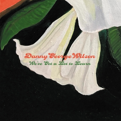 Danny George Wilson - We've Got A Lot To Learn (7" Single)
