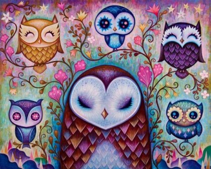 Diamond Painting Owls/Eulen 50x40 cm