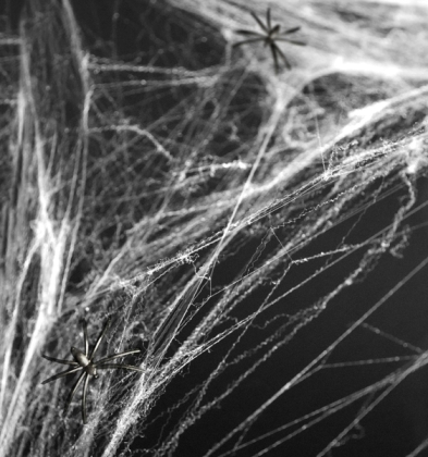 Spinnennetz weiss Dekoration