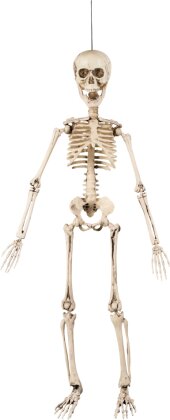 Bewegliches Skelett Deko zum Aufhängen