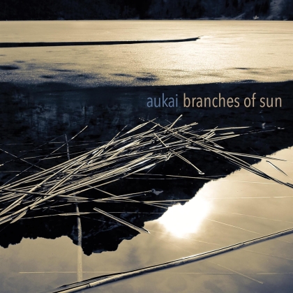 Aukai - Branches Of Sun (LP)