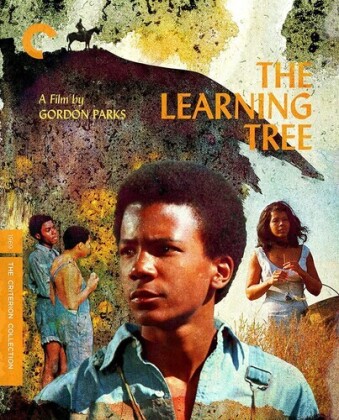 The Learning Tree (1969) (Criterion Collection)