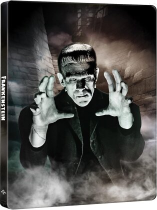 Frankenstein (1931) (90th Anniversary Edition, s/w, Steelbook, 4K Ultra HD + Blu-ray)