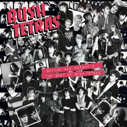 Bush Tetras - Rhythm And Paranoia: The Best Of... (2 CDs)