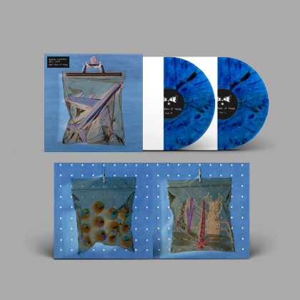 Black Country, New Road - Ants From Up There (Limited Edition, Blue Vinyl, 2 LPs + Digital Copy)