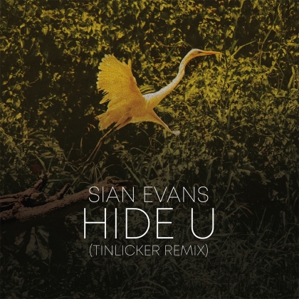 Sian Evans & Tinlicker - Hide U (tinlicker Remix)/Because You Move Me (12" Maxi)