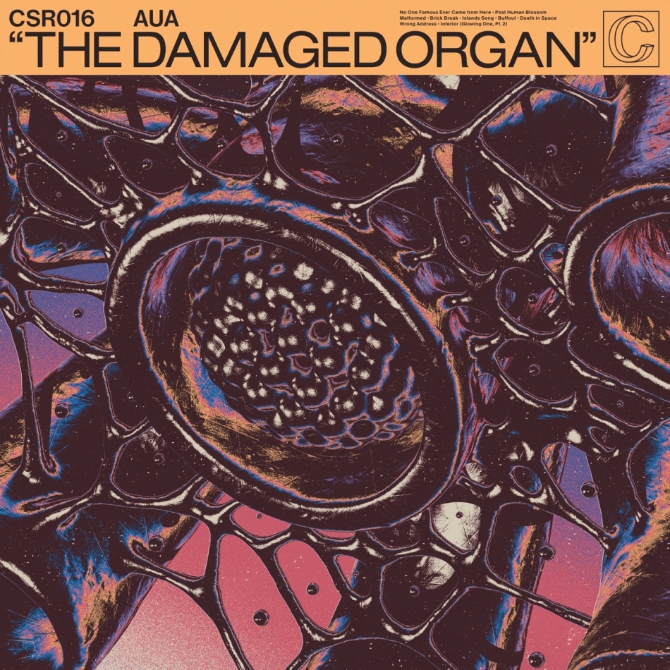 Aua - Damaged Organ