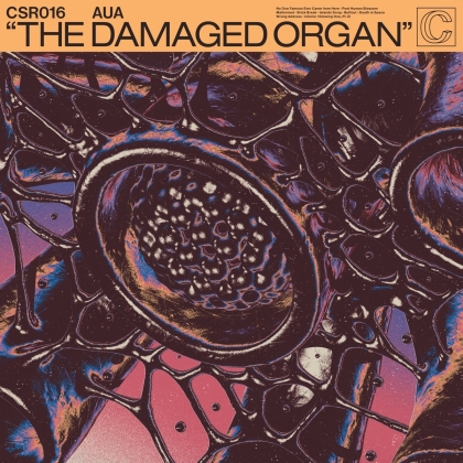 Aua - Damaged Organ (LP)