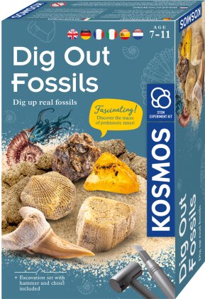 Dig Out Fossils, d/f/i - Mitbring Experimente, Fossilien