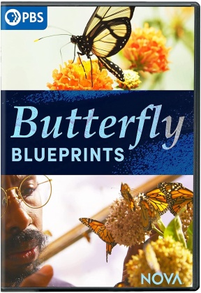 Nova - Butterfly Blueprints