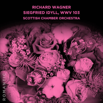 Scottish Chamber Orchestra & Richard Wagner (1813-1883) - Siegfried Idyll Wwv 103 (Manufactured On Demand, Good Time Distribution)