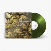 Travis - Invisible Band (Indies Only, 20th Anniversary Edition, Forest Green Vinyl, LP)