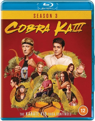 Cobra Kai - Season 3 (2 Blu-ray)