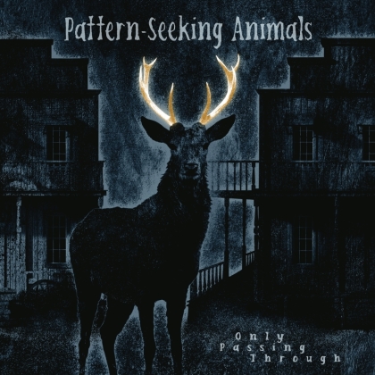 Pattern-Seeking Animals - Only Passing Through (2 LPs + CD)