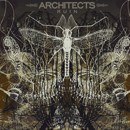 Architects (Metalcore) - Ruin (2022 Reissue, Napalm Records, LP)