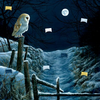 Magie und Mythos der Winter-Weihnacht - Zettelkalender