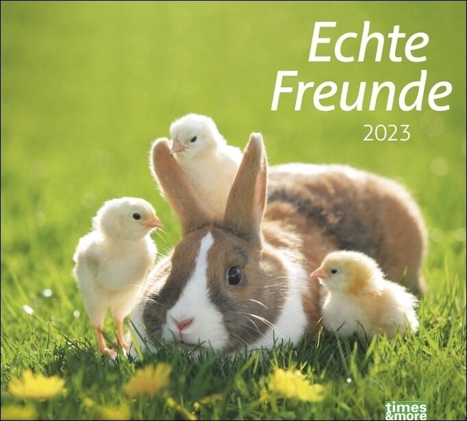 Echte Freunde Bildkalender 2023. Süße Tierfreundschaften in einem